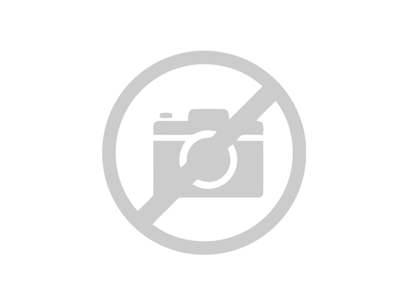 160*230 PİGMENT VERA VR01